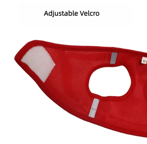 EscapeProof™ Cat & Small Dog Harness Set