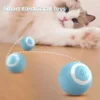S49f373ab1af746a8b37c93d9bbd59dadZ.webp WhirlPaws™ Automatic Rolling Cat Ball