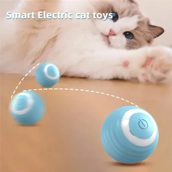 S49f373ab1af746a8b37c93d9bbd59dadZ.webp WhirlPaws™ Automatic Rolling Cat Ball