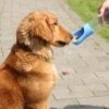 Portable Dog Water Bottle With Food Container Travel 2 in 1 Pet Water Dispenser For Small Large Dogs Cat Labrodor Drinking Bowls