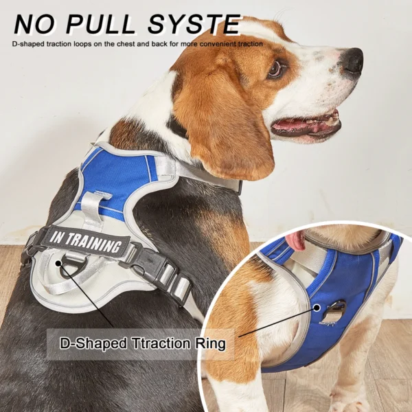 TrailGuard™ No-Pull Dog Harness