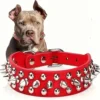 S4d75b24d51d84c98b14628df4c04fe25V-4.webp RivetGuard™ PU Leather Dog Collar