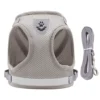 EscapeProof™ Cat & Small Dog Harness Set