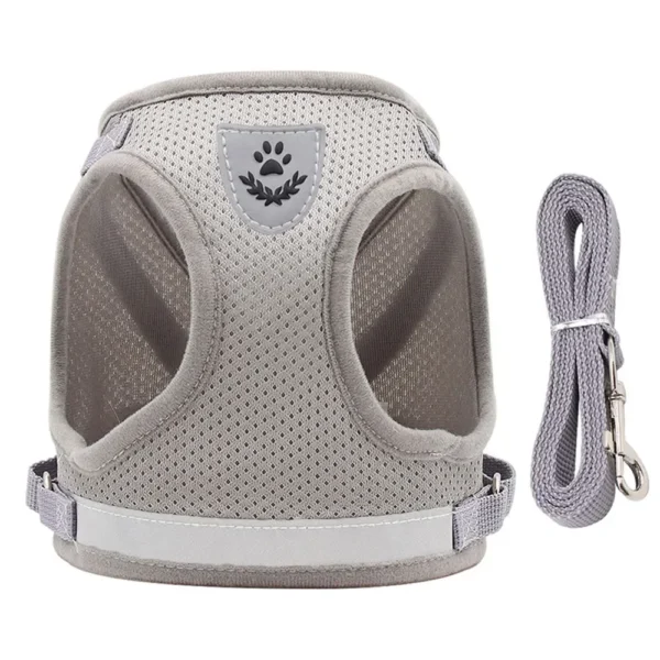 EscapeProof™ Cat & Small Dog Harness Set