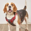TrailGuard™ No-Pull Dog Harness