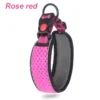 SafeStride™ Reflective Dog Collar