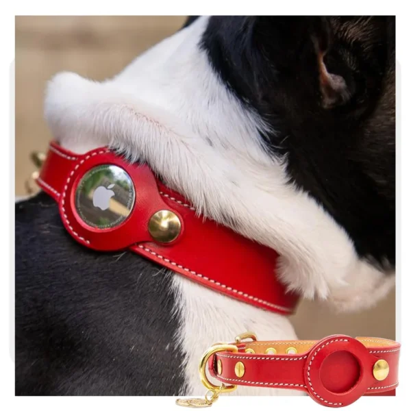 LuxTag™ Leather AirTag Pet Collar