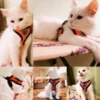 S50e91f4c847d4d0786d60ef5f59c595e4.webp BreezeFit™ Summer Pet Harness & Leash Set