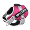S5366ec2532784b9d80727690d5c854545.webp PowerPup™ Adjustable Dog Harness & Leash Set