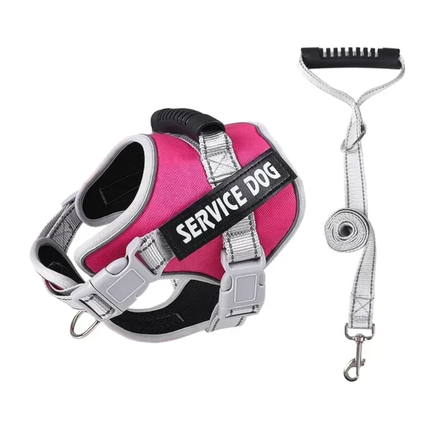 S54b84c6db089404c856ee41e008e9a77U.webp PowerPup™ Adjustable Dog Harness & Leash Set
