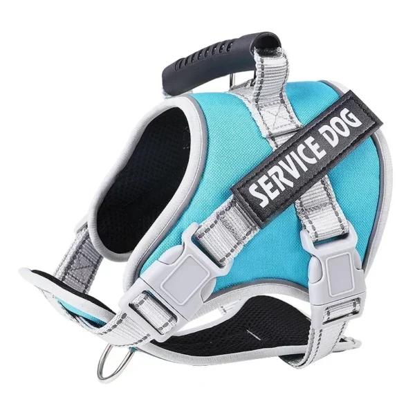 S572dc5aabddc464bb34cdf7dc9ecc9bbz.webp PowerPup™ Adjustable Dog Harness & Leash Set