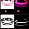 S5822b8071d6f440cb33c274a9ebb54c6y.webp GlowPaw™ LED Safety Collar & Leash