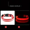 S587dcd79f39146deb77588c39ea44bb5Z.webp GlowPaw™ LED Safety Collar & Leash