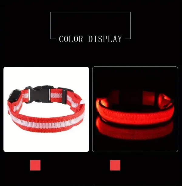 S587dcd79f39146deb77588c39ea44bb5Z.webp GlowPaw™ LED Safety Collar & Leash
