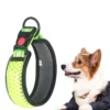 SafeStride™ Reflective Dog Collar
