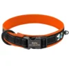 PawPrint™ Personalized Reflective Dog Collar