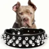 S5f85f325f2c8475c8181613266f2567eY-4.webp RivetGuard™ PU Leather Dog Collar