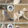 S5fbf972f5a384b1c8473e993ac1263093.webp PowerPup™ Adjustable Dog Harness & Leash Set