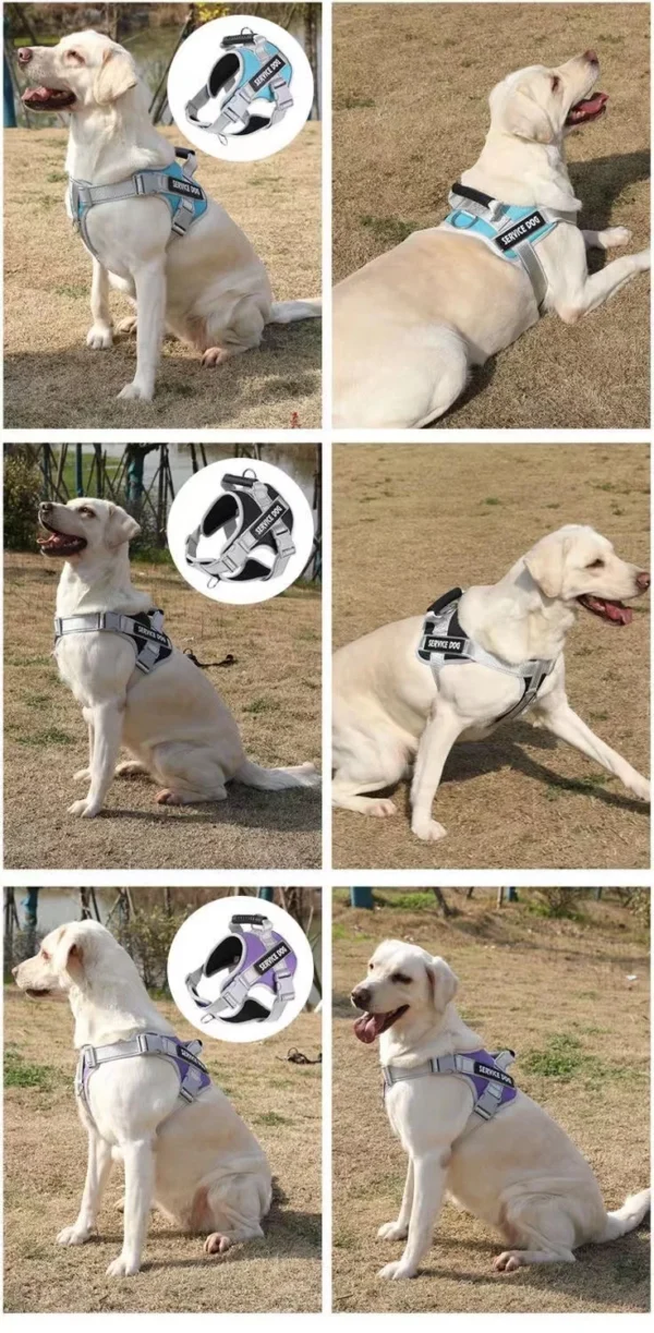 S5fbf972f5a384b1c8473e993ac1263093.webp PowerPup™ Adjustable Dog Harness & Leash Set