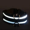 S614847c6152844488871d2624a0d5f225.webp GlowPaw™ LED Safety Collar & Leash