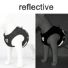 EscapeProof™ Cat & Small Dog Harness Set