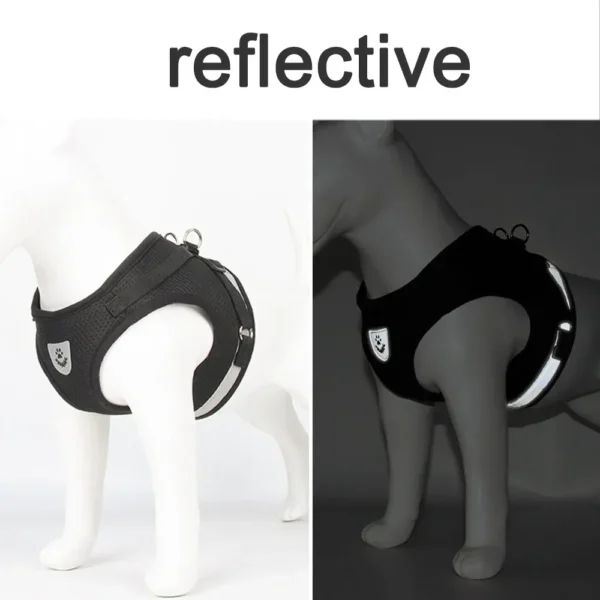 EscapeProof™ Cat & Small Dog Harness Set