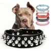 S66588fcbef1145dcb397aac8839a0effP-2.webp RivetGuard™ PU Leather Dog Collar