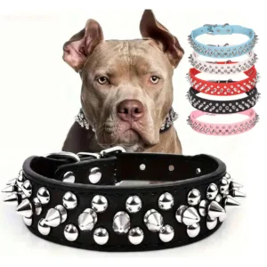 RivetGuard™ PU Leather Dog Collar