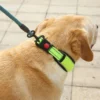 SafeStride™ Reflective Dog Collar