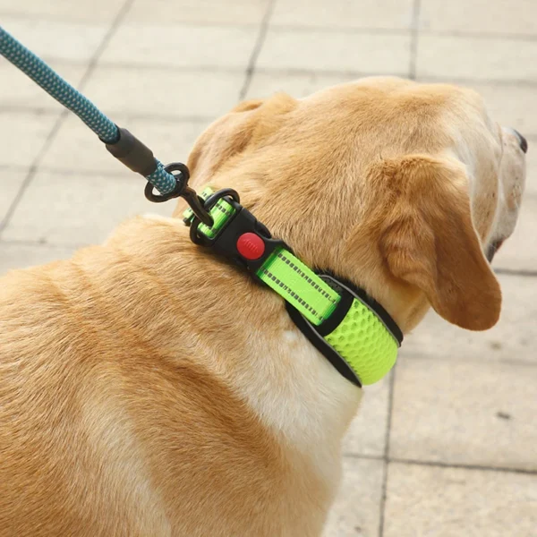 SafeStride™ Reflective Dog Collar