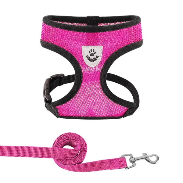 S6cc38f8358034169a59d4cb4f6a2800b0.webp BreezeFit™ Summer Pet Harness & Leash Set