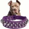 S6f44380456fa4cc1b867c29aa383fa35r-4.webp RivetGuard™ PU Leather Dog Collar