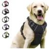 S7516b8b54cd04bbf9add8673d1b0ff0cq.webp StrongStride™ Front-Clip No-Pull Dog Harness