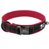 PawPrint™ Personalized Reflective Dog Collar