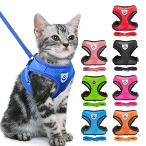 S796fb4ef3c604625b2a885111dd7569aR.webp ComfortMesh™ Pet Harness & Leash Set