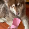 Portable Dog Water Bottle With Food Container Travel 2 in 1 Pet Water Dispenser For Small Large Dogs Cat Labrodor Drinking Bowls