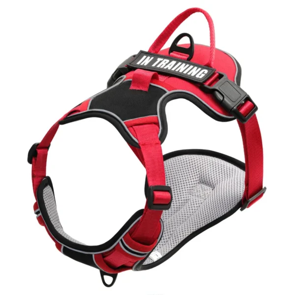 TrailGuard™ No-Pull Dog Harness