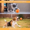 BounceSmart™ Gravity Electric Pet Ball