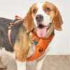 TrailGuard™ No-Pull Dog Harness