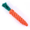 Carrot ChewBuddy™ Rope Toy