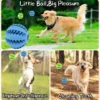 S845b49459cb4445385d7ab7e1d3c00efV.webp ChompPlay™ Treat Ball & Dental Toy