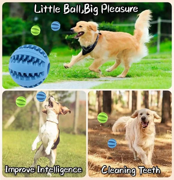 S845b49459cb4445385d7ab7e1d3c00efV.webp ChompPlay™ Treat Ball & Dental Toy