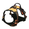S855619da5d624bf2be6b8b8352fe9f63B.webp StrongStride™ Front-Clip No-Pull Dog Harness