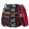 PawPrint™ Personalized Reflective Dog Collar
