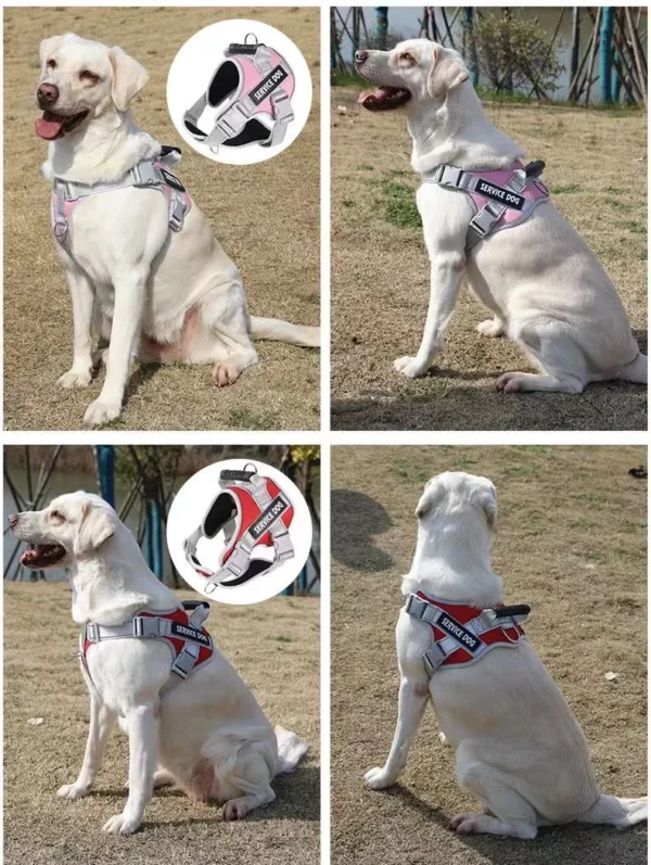 S942badf723284534ab16dd89c09c89c5M.webp PowerPup™ Adjustable Dog Harness & Leash Set