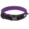 PawPrint™ Personalized Reflective Dog Collar