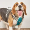 TrailGuard™ No-Pull Dog Harness