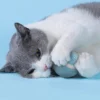 Sa2346554ac424053871e162d4d1e94a5E.webp WhirlPaws™ Automatic Rolling Cat Ball
