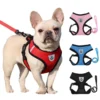Sa6f8d7d65d5d4c5f969bb5a1cf989a87x.webp BreezeFit™ Summer Pet Harness & Leash Set