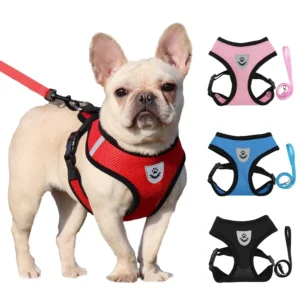 BreezeFit™ Summer Pet Harness & Leash Set